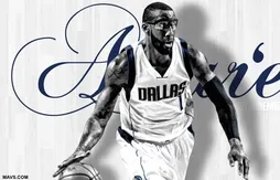 Amar’e Stoudemire : “J’ai une opportunité formidable de pouvoir jouer le titre”