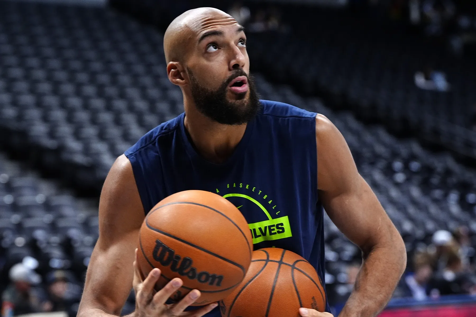 Rudy Gobert et les Wolves