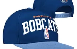 Les Bobcats vont-ils changer leurs couleurs ?