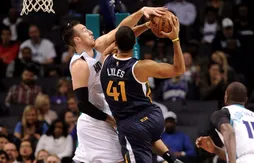 Vainqueur du Jazz, Charlotte s’installe au sommet de la conférence Est