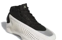 La A.E. 1 « Stormtrooper » débarque en France