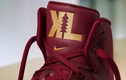 Nike : une Hyperdunk 2016 spéciale pour les Finals de Kevin Love