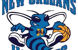 Les Hornets vont changer de nom