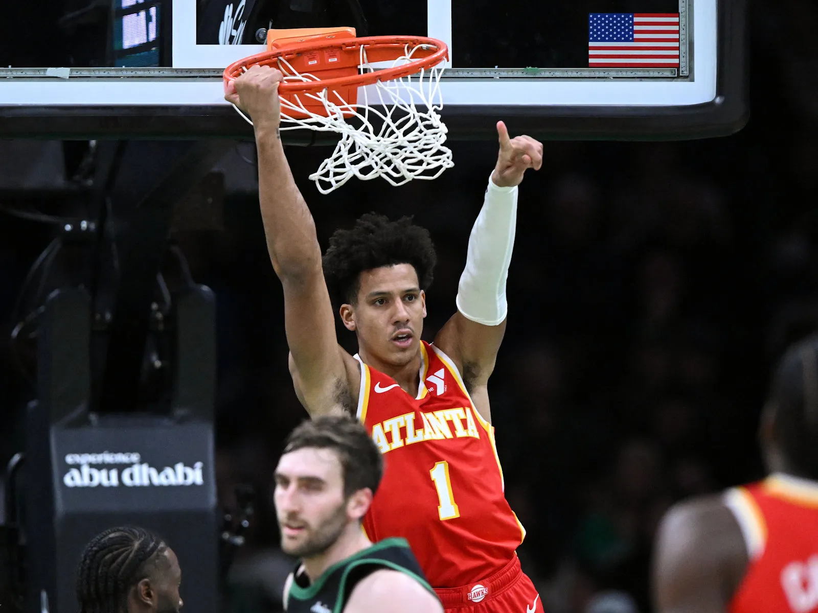 hawks
