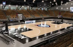 Quand Montréal se passionne pour le basket professionnel