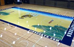 NCAA : gros plan sur la nouvelle tendance des parquets colorés