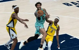 La résilience des Hornets