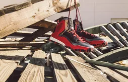 Adidas : la Rose 5 passe en mode playoffs