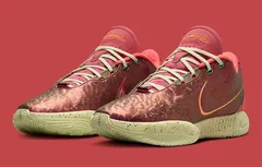 La LeBron 21 « Reine Conque » disponible en France