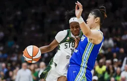 Les 37 points de Dominique Malonga ne suffisent pas au Storm