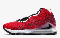 Nike : la LeBron 17 se la joue Scottie Pippen