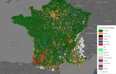 Deuxième sport collectif en France, le basket concurrence le rugby dans le Sud-Ouest