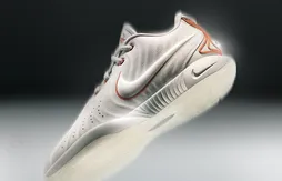 La LeBron 21 disponible en France