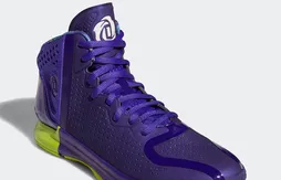 Bientôt le retour de la D Rose 4 ?