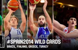 Mondial : les wildcards pour le Brésil, la Finlande, la Grèce et la Turquie