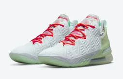 Une LeBron 18 en hommage à Diana Taurasi