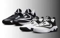 Deux nouveaux coloris pour la Giannis Immortality 3