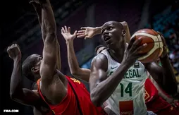 AfroBasket 2017 : le Nigéria, le Sénégal, le Maroc et la Tunisie dans le dernier carré
