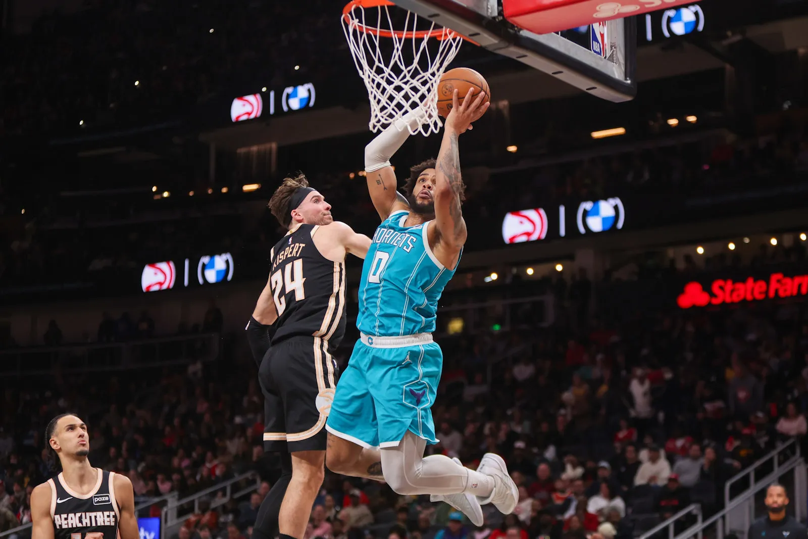 hornets hawks