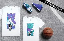 Jordan Brand : encore deux coloris de la Air Jordan 13 pour Chris Paul