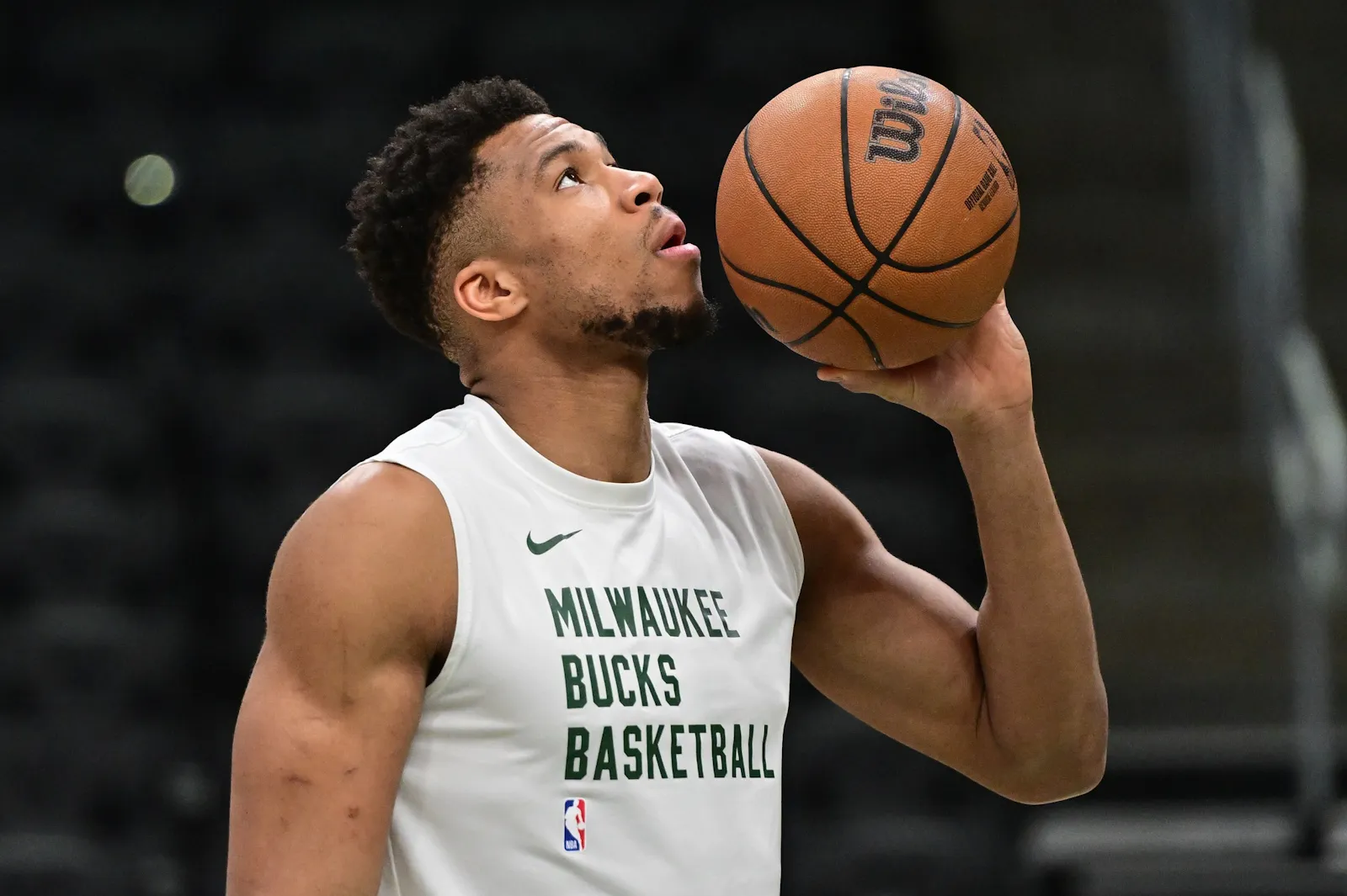 Giannis Antetokounmpo