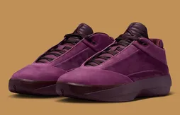 La Air Jordan 40 passe au bordeaux