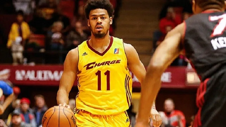 quinn cook