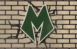 Les Bucks dévoilent leur nouvelle charte graphique