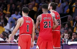Incorrigi-Bulls
