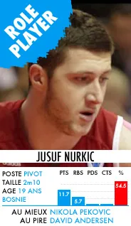 nurkic