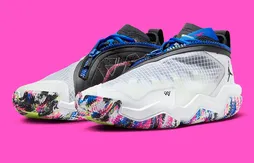 Un nouveau coloris pour la Jordan Why Not .6