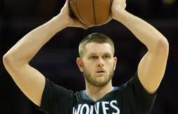 Les Wolves coupent Cole Aldrich