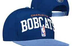 Les Bobcats vont-ils changer leurs couleurs ?