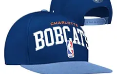 Les Bobcats vont-ils changer leurs couleurs ?