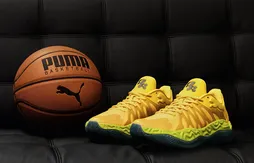 La Puma Hali 1 retrouve des couleurs