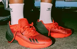 Des nouvelles de la D.O.N. ISSUE 4