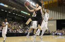 March Madness : Northeastern se qualifie pour la première fois depuis 1991
