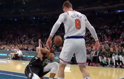 Giannis Antetokounmpo vexé par Mario Hezonja