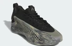 Un coloris “camouflage” pour la AE 1 Low