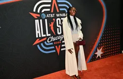 Dominique Malonga, la classe sur et en dehors du terrain