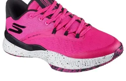 Le retour de la Skechers SKX Nexus