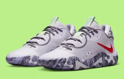 De la broderie et du gris sur la PG 6