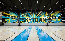 Le nouveau centre d’entraînement du Sky encore repoussé, les joueuses frustrées