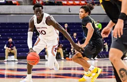 JT Thor, la dernière trouvaille des Hornets ?