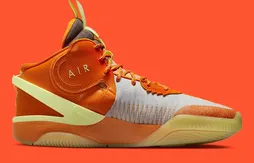 La Nike Air Deldon 1 aux couleurs de la WNBA