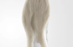 La première D Rose 7 est grise