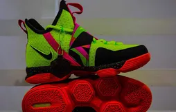 Nike : la LeBron 14 se met au catch !