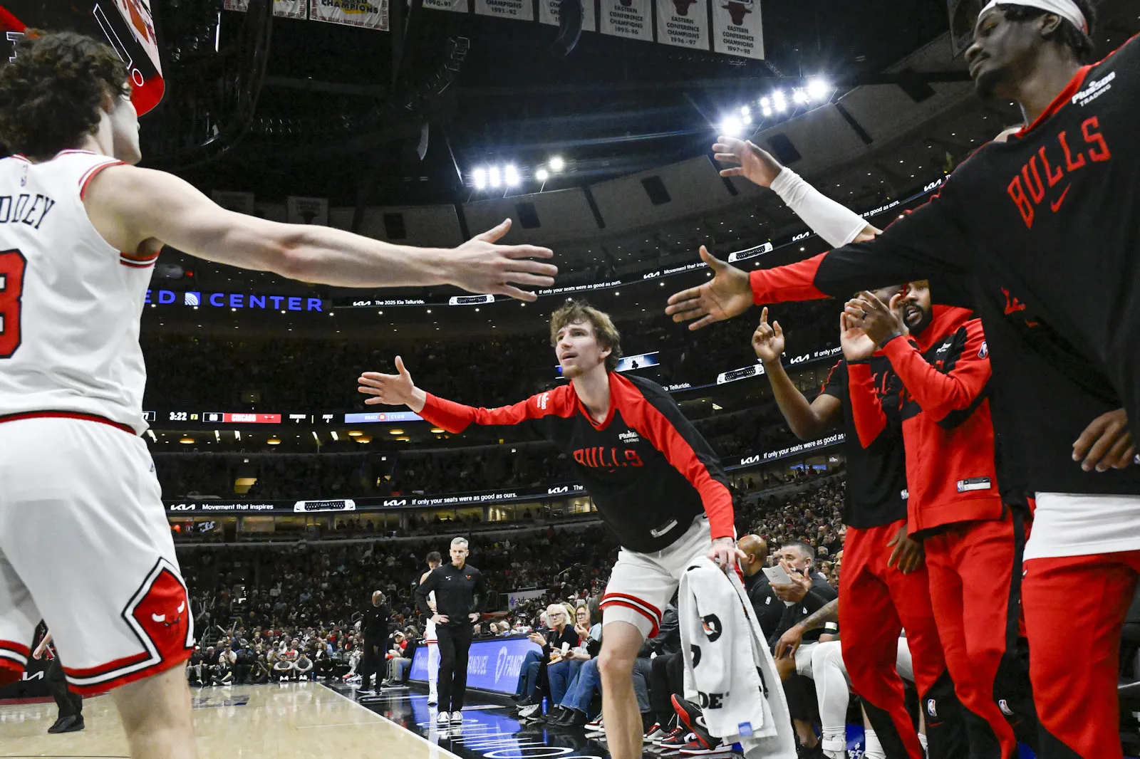 bulls