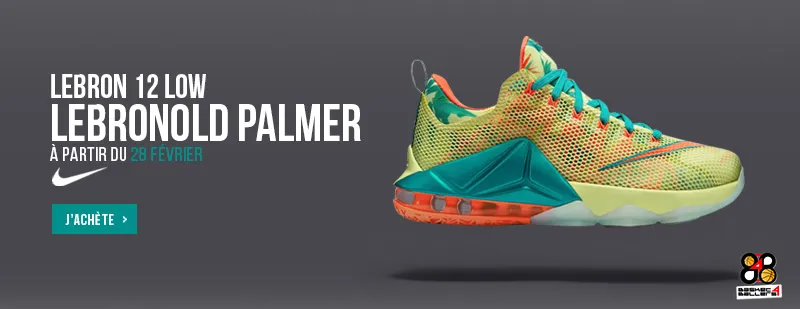 Lebron 12 Low