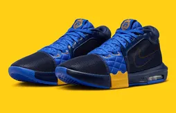 Le coloris “Entourage” de retour sur la LeBron Witness 8